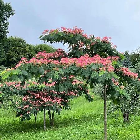 Segnavento -rooms And A Vicino Saluzzo Πανσιόν Manta