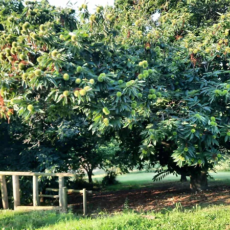 게스트하우스 Segnavento -rooms And A Vicino Saluzzo