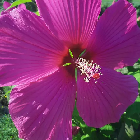 게스트하우스 Segnavento -rooms And A Vicino Saluzzo 3*