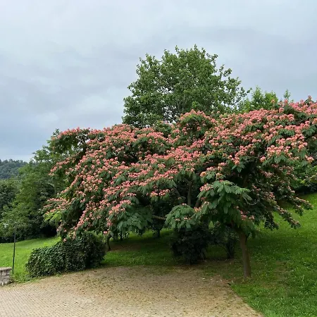 Segnavento -rooms And A Vicino Saluzzo 3* 만타
