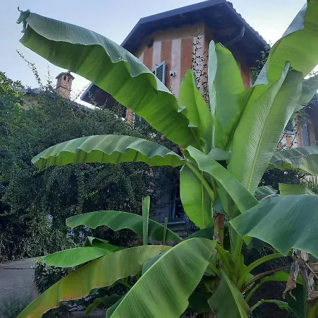 Segnavento -rooms And A Vicino Saluzzo