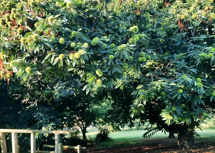 Gasthof Segnavento -rooms And A Vicino Saluzzo