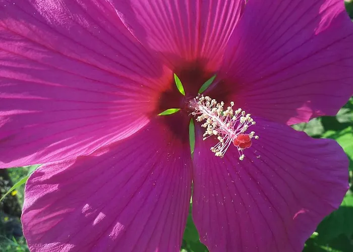 Gasthof Segnavento -rooms And A Vicino Saluzzo 3*