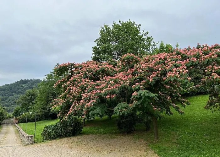 Segnavento -rooms And A Vicino Saluzzo 3* Manta