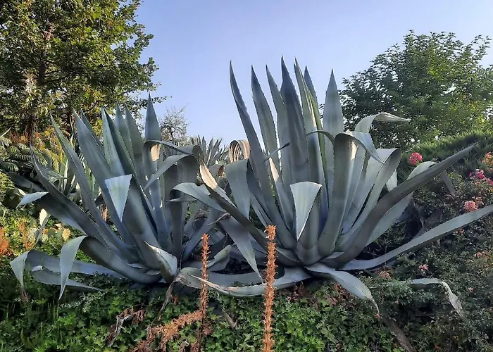 Segnavento -rooms And A Vicino Saluzzo Manta