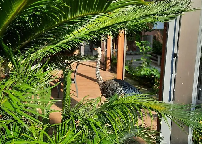 Segnavento -rooms And A Vicino Saluzzo Gasthof Manta