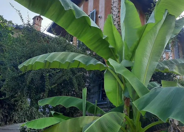 Segnavento -rooms And A Vicino Saluzzo