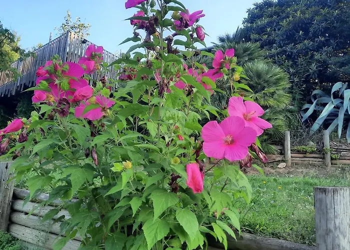 Gasthof Segnavento -rooms And A Vicino Saluzzo Manta