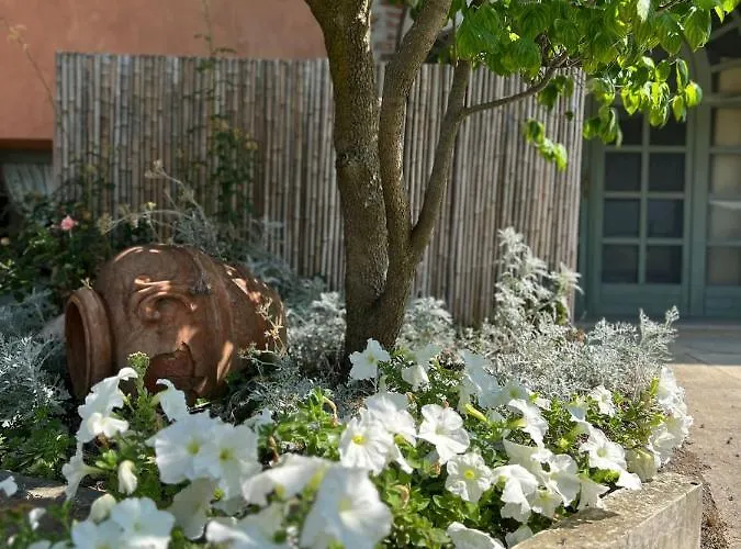 Segnavento -rooms And A Vicino Saluzzo Gasthof 3*